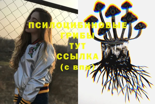 амф Саяногорск