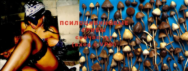 амф Саяногорск