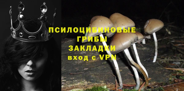 амф Саяногорск