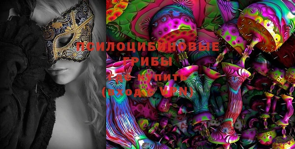 амф Саяногорск
